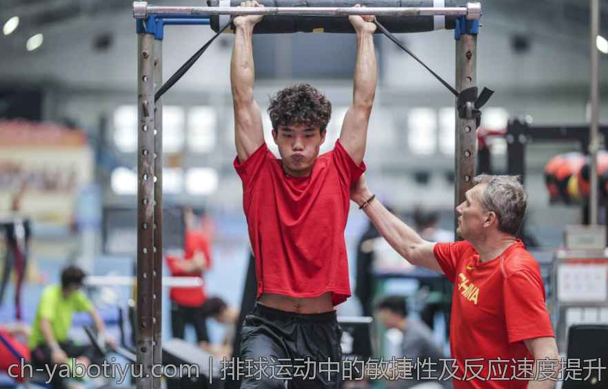 排球运动中的敏捷性及反应速度提升