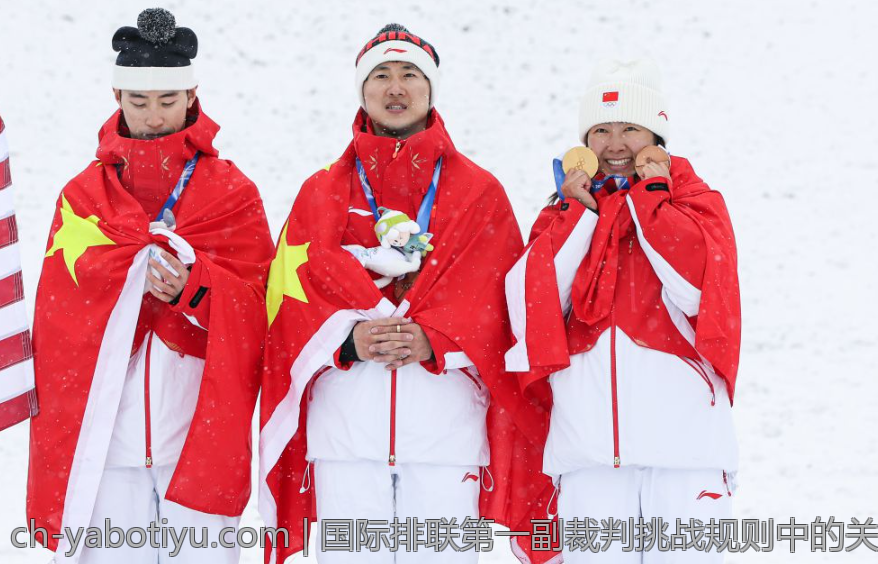 国际排联第一副裁判挑战规则中的关键技术与判断依据